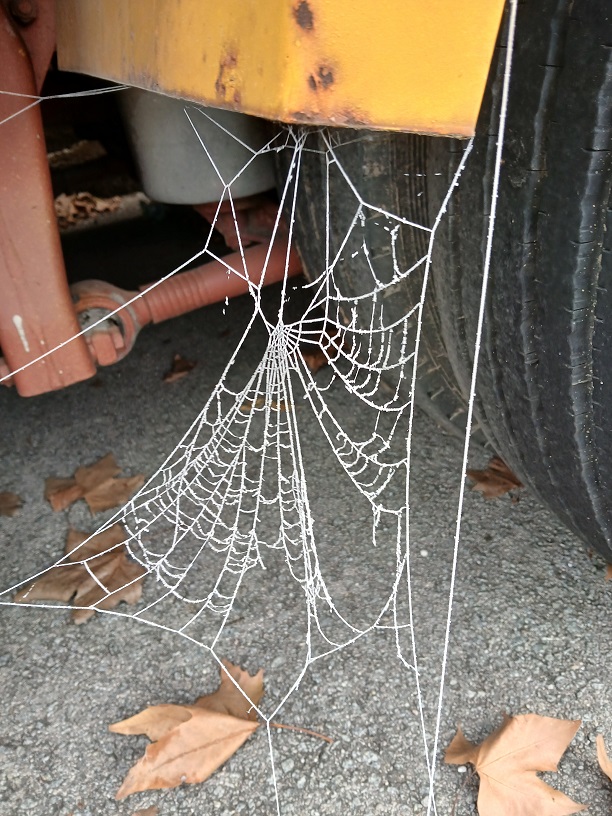 No s'ha trobat l'arxiu